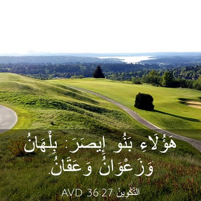 Picture 03 - اَلتَّكْوِينُ 36:27 AVD - هَؤُلَاءِ بَنُو إِيصَرَ: - Bible Verse Picture