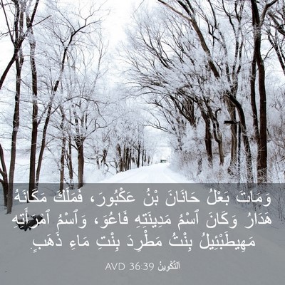Picture 03 - اَلتَّكْوِينُ 36:39 AVD - وَمَاتَ بَعْلُ حَانَانَ - Bible Verse Picture