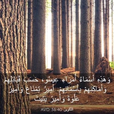 Picture 03 - اَلتَّكْوِينُ 36:40 AVD - وَهَذِهِ أَسْمَاءُ - Bible Verse Picture