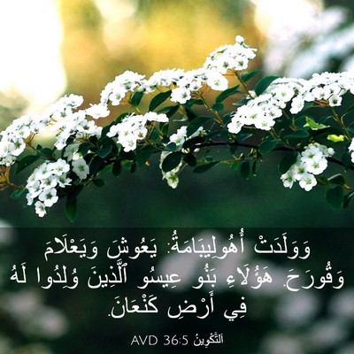 Picture 03 - اَلتَّكْوِينُ 36:5 AVD - وَوَلَدَتْ - Bible Verse Picture