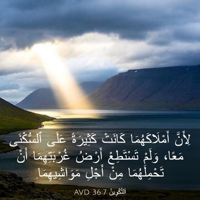Picture 03 - اَلتَّكْوِينُ 36:7 AVD - لِأَنَّ أَمْلَاكَهُمَا - Bible Verse Picture
