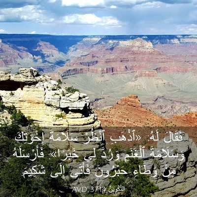 Picture 03 - اَلتَّكْوِينُ 37:14 AVD - فَقَالَ لَهُ: «ٱذْهَبِ - Bible Verse Picture