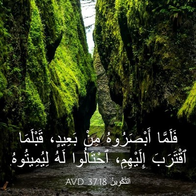 Picture 03 - اَلتَّكْوِينُ 37:18 AVD - فَلَمَّا أَبْصَرُوهُ مِنْ - Bible Verse Picture