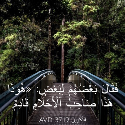 Picture 03 - اَلتَّكْوِينُ 37:19 AVD - فَقَالَ بَعْضُهُمْ - Bible Verse Picture
