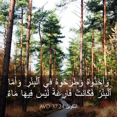 Picture 03 - اَلتَّكْوِينُ 37:24 AVD - وَأَخَذُوهُ وَطَرَحُوهُ - Bible Verse Picture