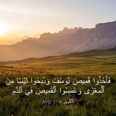 Picture 03 - اَلتَّكْوِينُ 37:31 AVD - فَأَخَذُوا قَمِيصَ - Bible Verse Picture
