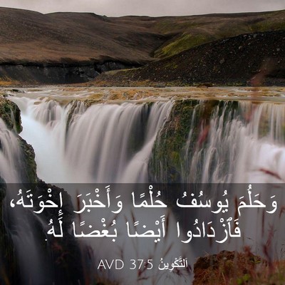 Picture 03 - اَلتَّكْوِينُ 37:5 AVD - وَحَلُمَ يُوسُفُ حُلْمًا - Bible Verse Picture