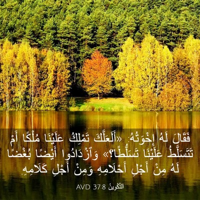 Picture 03 - اَلتَّكْوِينُ 37:8 AVD - فَقَالَ لَهُ إِخْوَتُهُ: - Bible Verse Picture