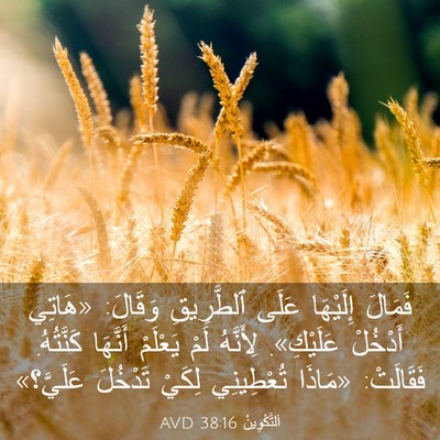 Picture 03 - اَلتَّكْوِينُ 38:16 AVD - فَمَالَ إِلَيْهَا عَلَى - Bible Verse Picture
