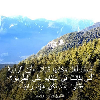 Picture 03 - اَلتَّكْوِينُ 38:21 AVD - فَسَأَلَ أَهْلَ - Bible Verse Picture