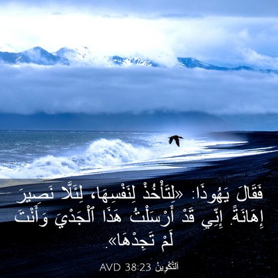 Picture 03 - اَلتَّكْوِينُ 38:23 AVD - فَقَالَ يَهُوذَا: - Bible Verse Picture