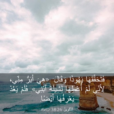 Picture 03 - اَلتَّكْوِينُ 38:26 AVD - فَتَحَقَّقَهَا يَهُوذَا - Bible Verse Picture