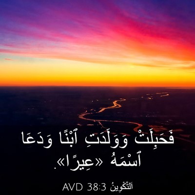 Picture 03 - اَلتَّكْوِينُ 38:3 AVD - فَحَبِلَتْ وَوَلَدَتِ - Bible Verse Picture
