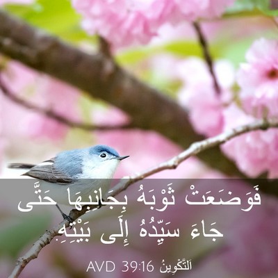 Picture 03 - اَلتَّكْوِينُ 39:16 AVD - فَوَضَعَتْ ثَوْبَهُ - Bible Verse Picture