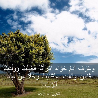 Picture 03 - اَلتَّكْوِينُ 4:1 AVD - وَعَرَفَ آدَمُ حَوَّاءَ - Bible Verse Picture