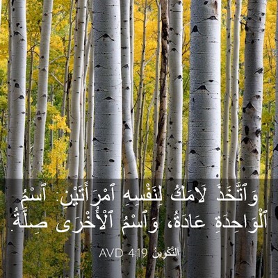 Picture 03 - اَلتَّكْوِينُ 4:19 AVD - وَٱتَّخَذَ لَامَكُ - Bible Verse Picture