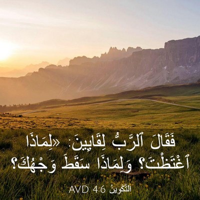 Picture 03 - اَلتَّكْوِينُ 4:6 AVD - فَقَالَ ٱلرَّبُّ - Bible Verse Picture