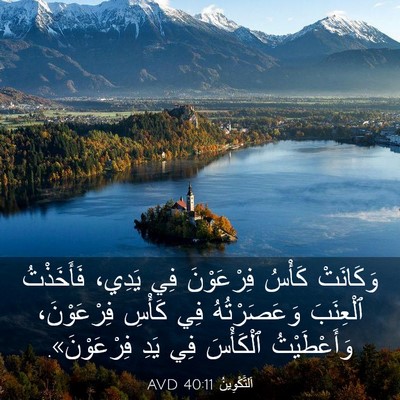 Picture 03 - اَلتَّكْوِينُ 40:11 AVD - وَكَانَتْ كَأْسُ - Bible Verse Picture
