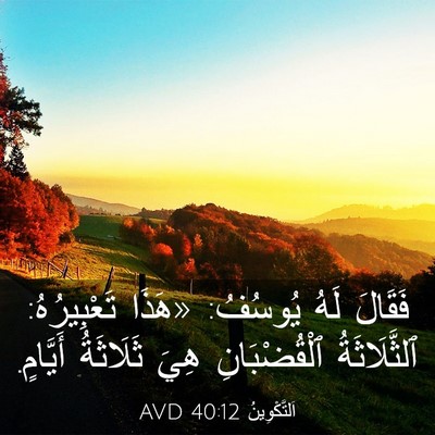 Picture 03 - اَلتَّكْوِينُ 40:12 AVD - فَقَالَ لَهُ يُوسُفُ: - Bible Verse Picture