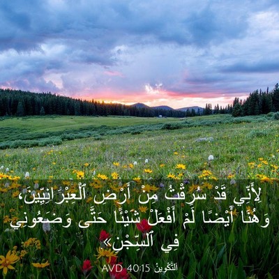 Picture 03 - اَلتَّكْوِينُ 40:15 AVD - لِأَنِّي قَدْ سُرِقْتُ - Bible Verse Picture