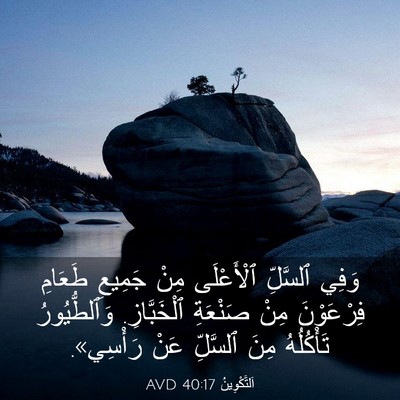 Picture 03 - اَلتَّكْوِينُ 40:17 AVD - وَفِي ٱلسَّلِّ ٱلْأَعْلَى - Bible Verse Picture