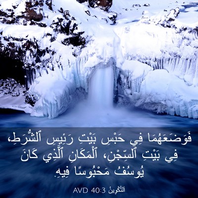 Picture 03 - اَلتَّكْوِينُ 40:3 AVD - فَوَضَعَهُمَا فِي حَبْسِ - Bible Verse Picture