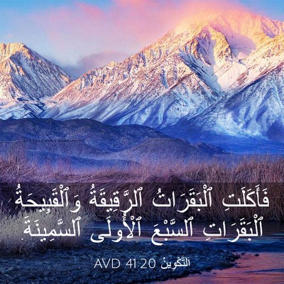 Picture 03 - اَلتَّكْوِينُ 41:20 AVD - فَأَكَلَتِ ٱلْبَقَرَاتُ - Bible Verse Picture