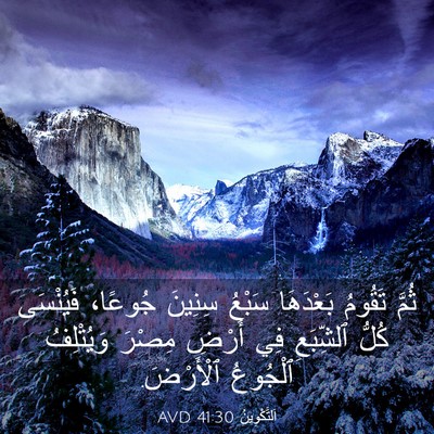 Picture 03 - اَلتَّكْوِينُ 41:30 AVD - ثُمَّ تَقُومُ بَعْدَهَا - Bible Verse Picture