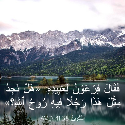 Picture 03 - اَلتَّكْوِينُ 41:38 AVD - فَقَالَ فِرْعَوْنُ - Bible Verse Picture