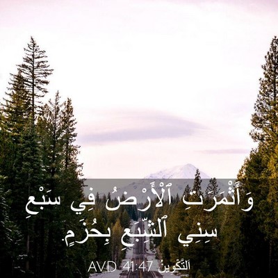 Picture 03 - اَلتَّكْوِينُ 41:47 AVD - وَأَثْمَرَتِ ٱلْأَرْضُ - Bible Verse Picture