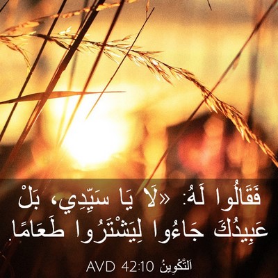 Picture 03 - اَلتَّكْوِينُ 42:10 AVD - فَقَالُوا لَهُ: «لَا يَا - Bible Verse Picture