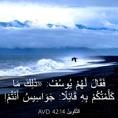 Picture 03 - اَلتَّكْوِينُ 42:14 AVD - فَقَالَ لَهُمْ يُوسُفُ: - Bible Verse Picture