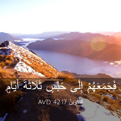 Picture 03 - اَلتَّكْوِينُ 42:17 AVD - فَجَمَعَهُمْ إِلَى حَبْسٍ - Bible Verse Picture