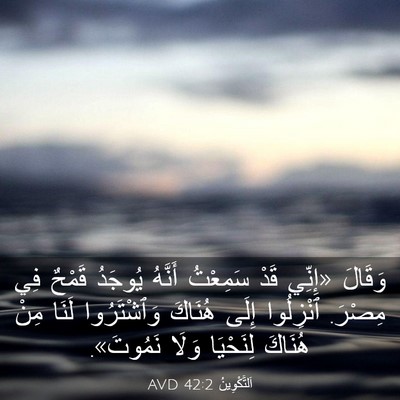 Picture 03 - اَلتَّكْوِينُ 42:2 AVD - وَقَالَ «إِنِّي قَدْ - Bible Verse Picture