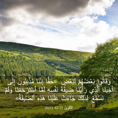 Picture 03 - اَلتَّكْوِينُ 42:21 AVD - وَقَالُوا بَعْضُهُمْ - Bible Verse Picture