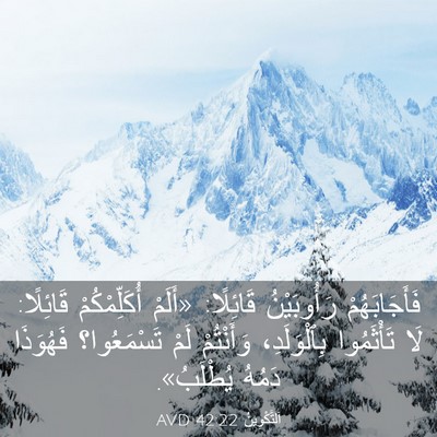 Picture 03 - اَلتَّكْوِينُ 42:22 AVD - فَأَجَابَهُمْ رَأُوبَيْنُ - Bible Verse Picture