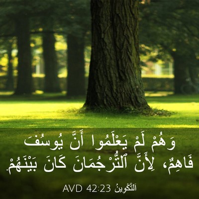 Picture 03 - اَلتَّكْوِينُ 42:23 AVD - وَهُمْ لَمْ يَعْلَمُوا - Bible Verse Picture