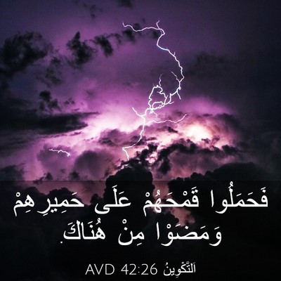 Picture 03 - اَلتَّكْوِينُ 42:26 AVD - فَحَمَلُوا قَمْحَهُمْ - Bible Verse Picture
