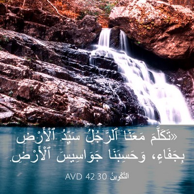 Picture 03 - اَلتَّكْوِينُ 42:30 AVD - «تَكَلَّمَ مَعَنَا - Bible Verse Picture