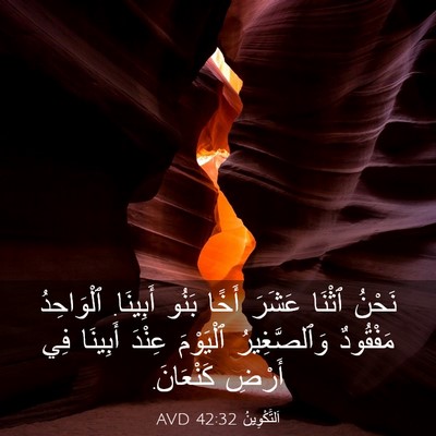 Picture 03 - اَلتَّكْوِينُ 42:32 AVD - نَحْنُ ٱثْنَا عَشَرَ أَخًا - Bible Verse Picture