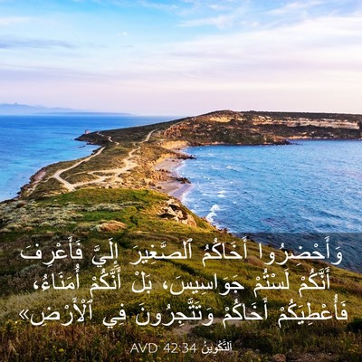 Picture 03 - اَلتَّكْوِينُ 42:34 AVD - وَأَحْضِرُوا أَخَاكُمُ - Bible Verse Picture