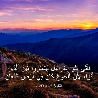Picture 03 - اَلتَّكْوِينُ 42:5 AVD - فَأَتَى بَنُو - Bible Verse Picture