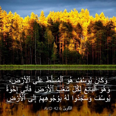 Picture 03 - اَلتَّكْوِينُ 42:6 AVD - وَكَانَ يُوسُفُ هُوَ - Bible Verse Picture