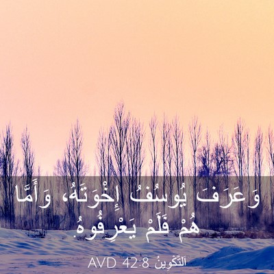 Picture 03 - اَلتَّكْوِينُ 42:8 AVD - وَعَرَفَ يُوسُفُ - Bible Verse Picture