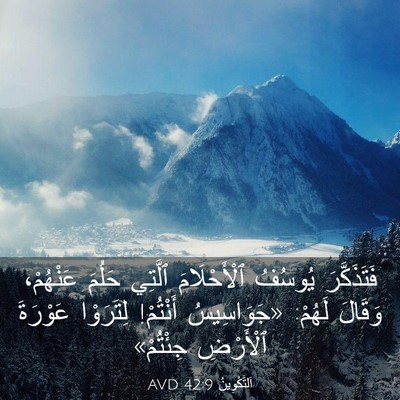 Picture 03 - اَلتَّكْوِينُ 42:9 AVD - فَتَذَكَّرَ يُوسُفُ - Bible Verse Picture