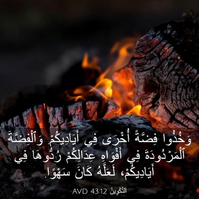 Picture 03 - اَلتَّكْوِينُ 43:12 AVD - وَخُذُوا فِضَّةً أُخْرَى - Bible Verse Picture
