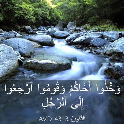 Picture 03 - اَلتَّكْوِينُ 43:13 AVD - وَخُذُوا أَخَاكُمْ - Bible Verse Picture