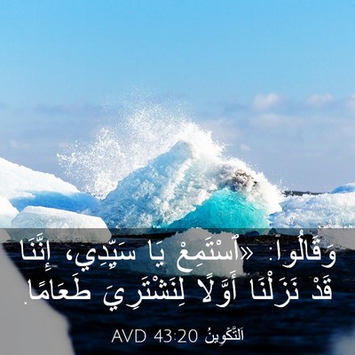 Picture 03 - اَلتَّكْوِينُ 43:20 AVD - وَقَالُوا: «ٱسْتَمِعْ يَا - Bible Verse Picture