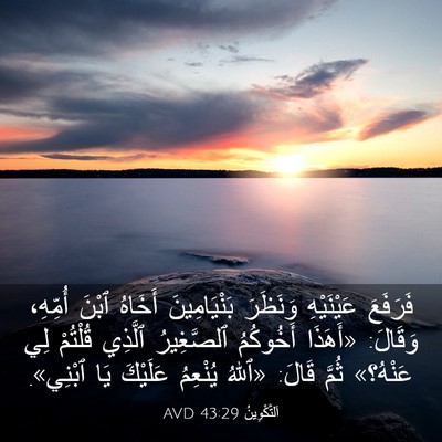 Picture 03 - اَلتَّكْوِينُ 43:29 AVD - فَرَفَعَ عَيْنَيْهِ - Bible Verse Picture