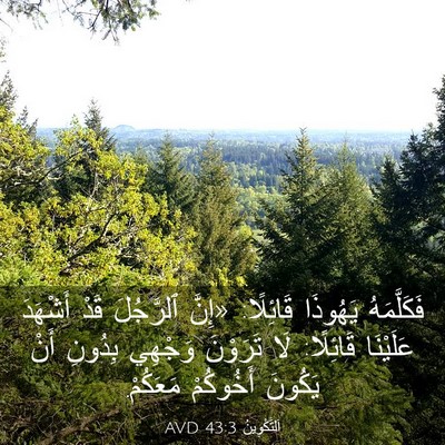Picture 03 - اَلتَّكْوِينُ 43:3 AVD - فَكَلَّمَهُ يَهُوذَا - Bible Verse Picture